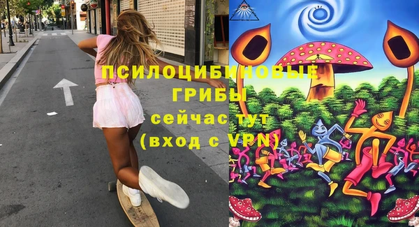 винт Покров
