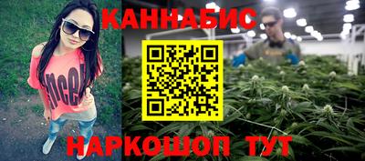 сатива Краснодар