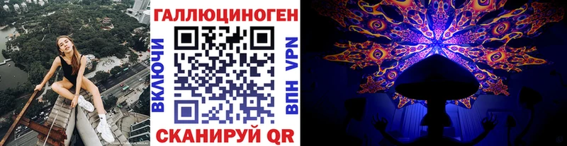 Псилоцибиновые грибы Cubensis  наркота  Ессентуки 