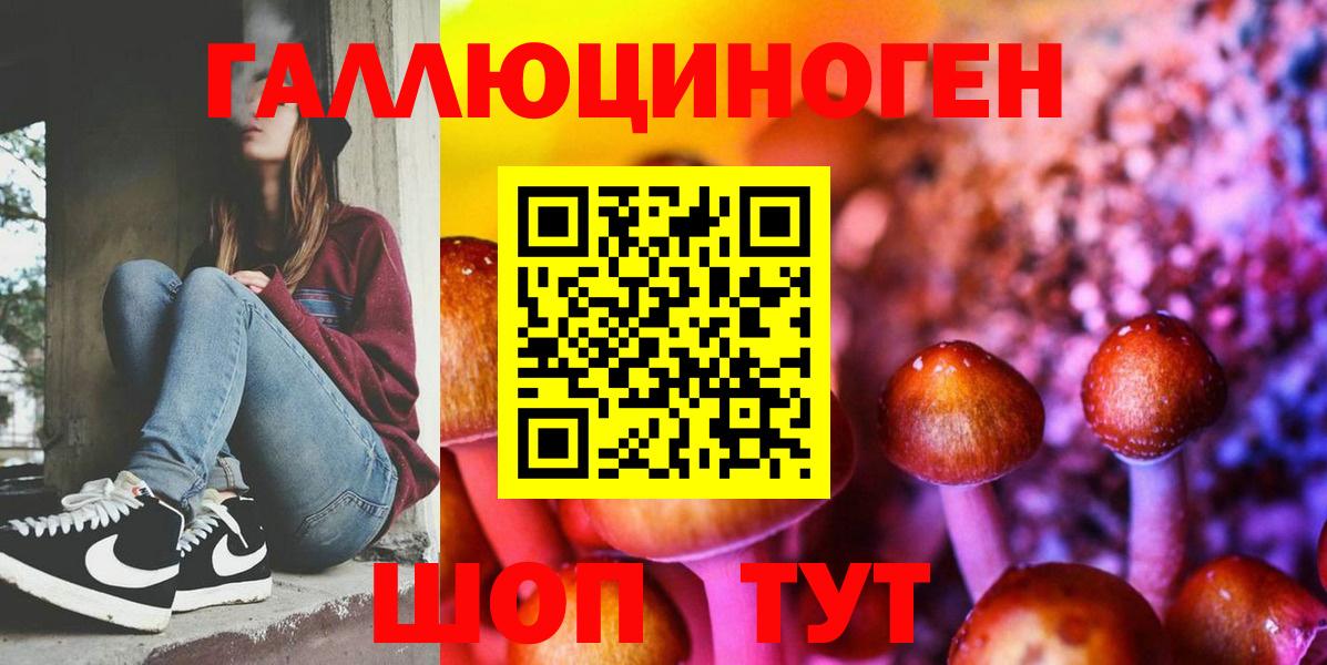Ессентуки  Галлюциногенные грибы Psilocybine cubensis  Псилоцибиновые грибы Psilocybe  Вход с VPN 