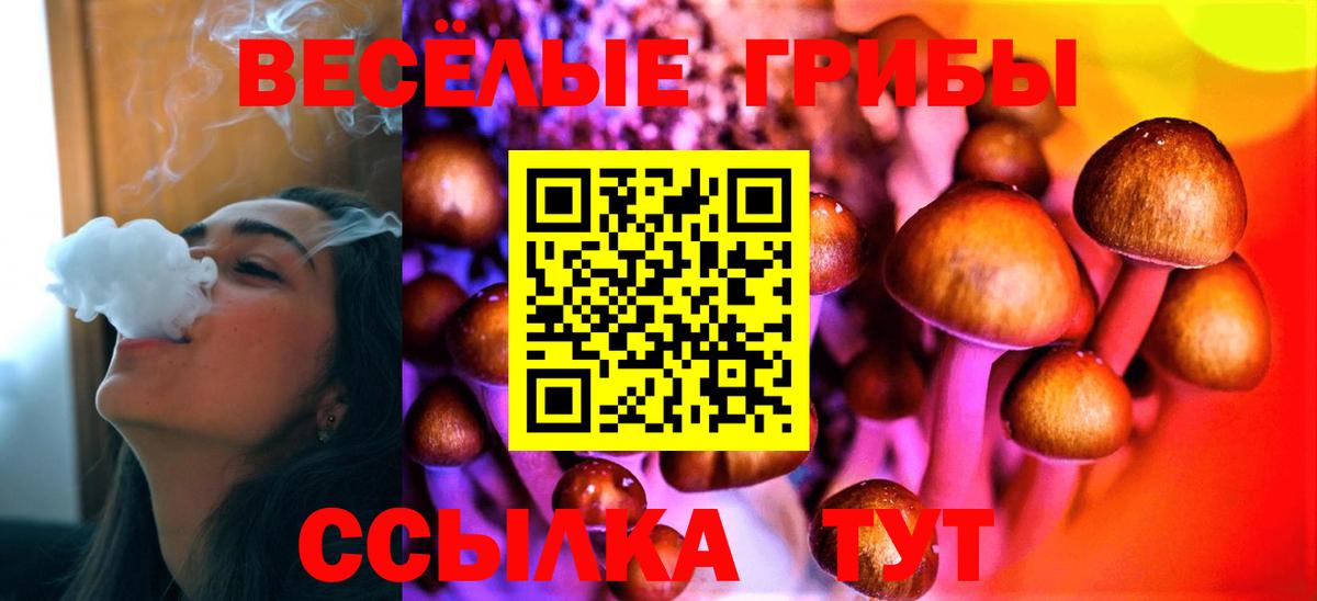 Галлюциногенные грибы прущие грибы Ессентуки